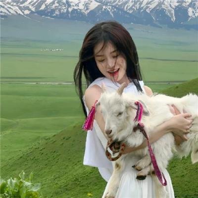 找数圣诞节
